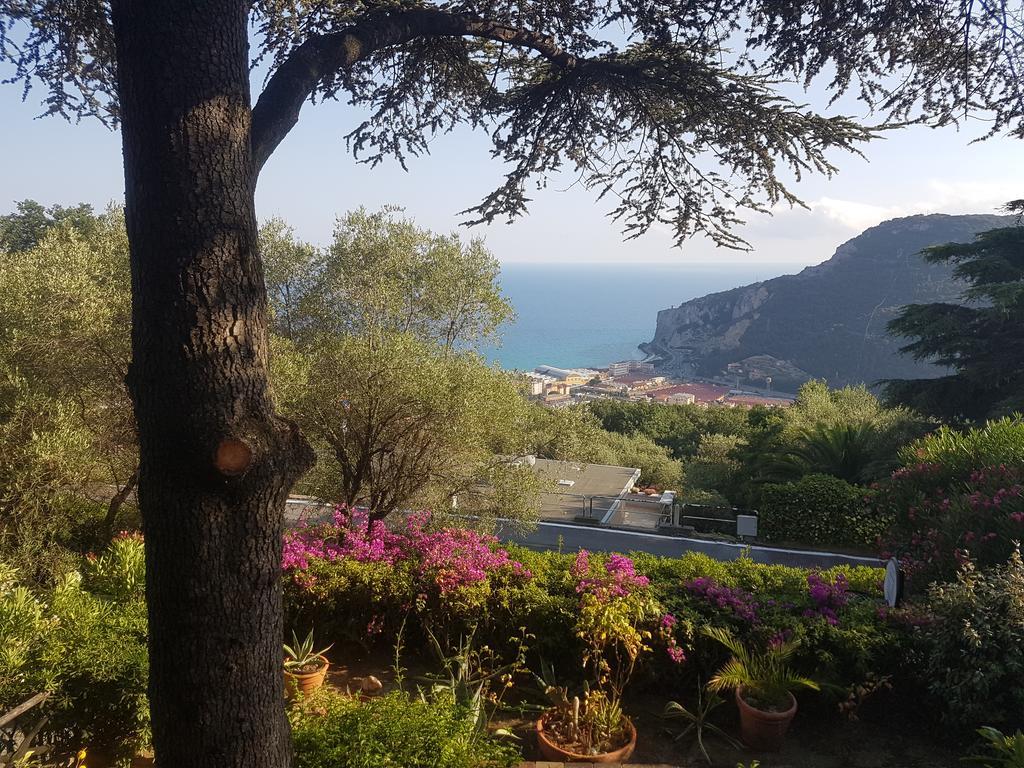 La Camera Tra Gli Ulivi Dream Finale Finale Ligure Exterior foto